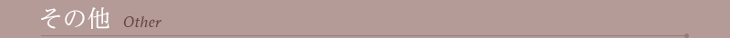 その他