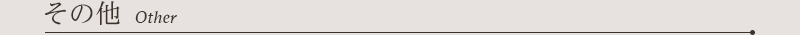 その他