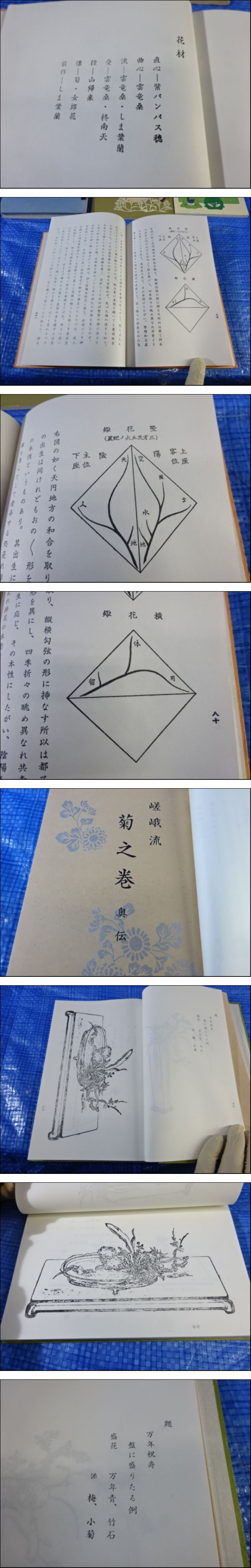 此商品圖像無法被轉載請進入原始網查看